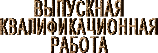 ВЫПУСКНАЯКВАЛИФИКАЦИОННАЯРАБОТА