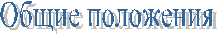 Общие положения