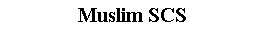 Подпись: Muslim SCS

