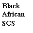 Подпись: Black
African
SCS
