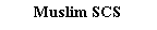 Подпись: Muslim SCS

