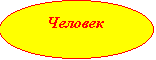 Овал: Человек