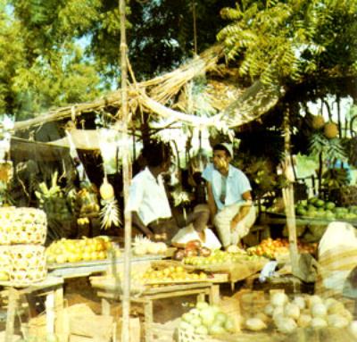 12670011 В модели какого идеального города утверждалось что вид транспорта определяет форму города