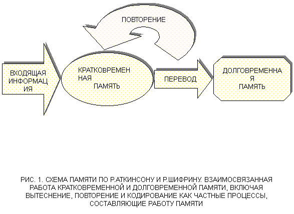 Схема памяти по р аткинсону и р шифрину