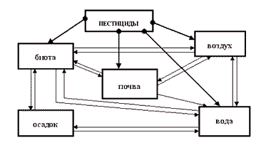 Реферат по теме Пестициды группы хлорфеноксикарбоновых кислот Реферат по теме Пестициды группы хлорфеноксикарбоновых кислот