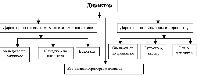 Организационная структура ооо спортмастер в виде схемы