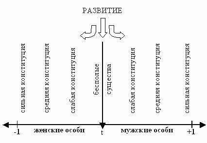 Реферат: Природа женского оргазма