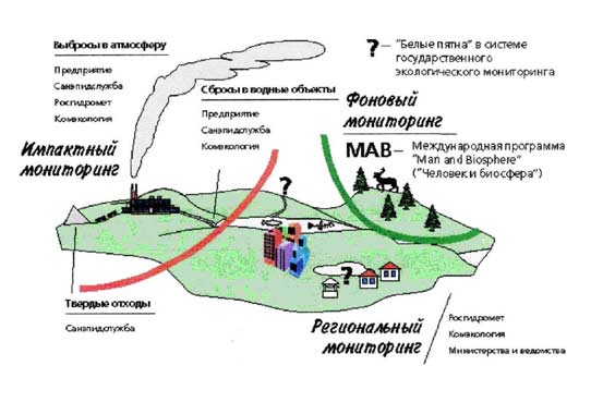 Основные Положения И Главные Отрасли Прикладной Экологии Реферат