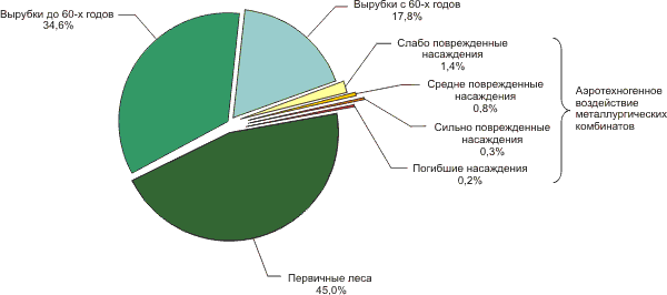 Реферат: Комплексные вырубки и продуктивность леса